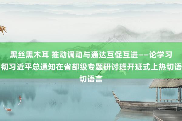 黑丝黑木耳 推动调动与通达互促互进——论学习贯彻习近平总通知在省部级专题研讨班开班式上热切语言