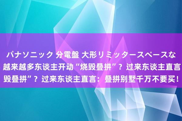 パナソニック 分電盤 大形リミッタースペースなし 露出・半埋込両用形 越来越多东谈主开动“烧毁叠拼”？过来东谈主直言：叠拼别墅千万不要买！