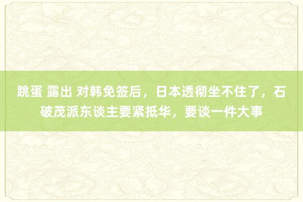 跳蛋 露出 对韩免签后，日本透彻坐不住了，石破茂派东谈主要紧抵华，要谈一件大事