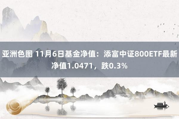 亚洲色图 11月6日基金净值：添富中证800ETF最新净值1.0471，跌0.3%