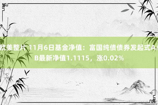 欧美整片 11月6日基金净值：富国纯债债券发起式A/B最新净值1.1115，涨0.02%