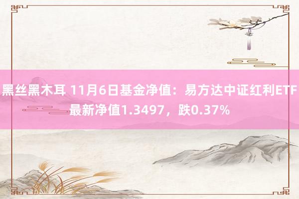 黑丝黑木耳 11月6日基金净值：易方达中证红利ETF最新净值1.3497，跌0.37%