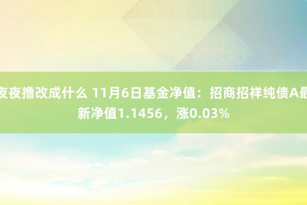 夜夜撸改成什么 11月6日基金净值：招商招祥纯债A最新净值1.1456，涨0.03%