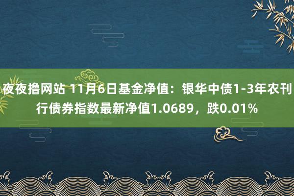 夜夜撸网站 11月6日基金净值：银华中债1-3年农刊行债券指数最新净值1.0689，跌0.01%