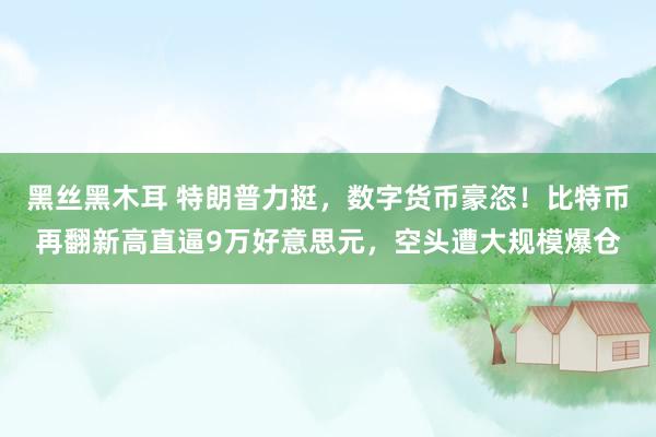 黑丝黑木耳 特朗普力挺，数字货币豪恣！比特币再翻新高直逼9万好意思元，空头遭大规模爆仓