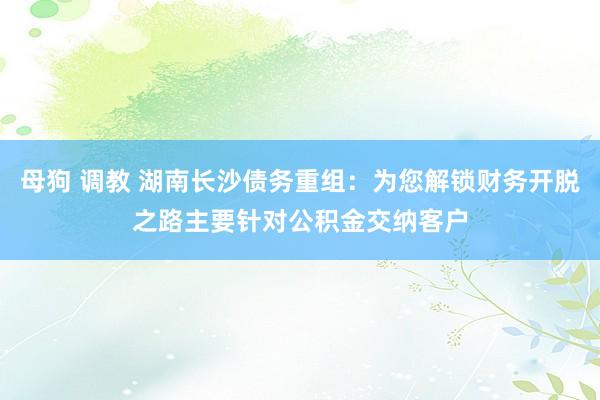 母狗 调教 湖南长沙债务重组：为您解锁财务开脱之路主要针对公积金交纳客户