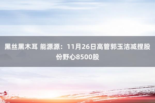 黑丝黑木耳 能源源：11月26日高管郭玉洁减捏股份野心8500股