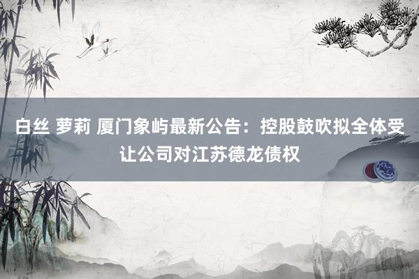 白丝 萝莉 厦门象屿最新公告：控股鼓吹拟全体受让公司对江苏德龙债权