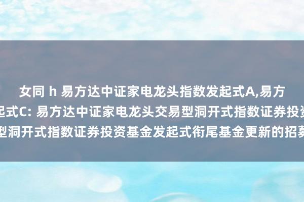 女同 h 易方达中证家电龙头指数发起式A,易方达中证家电龙头指数发起式C: 易方达中证家电龙头交易型洞开式指数证券投资基金发起式衔尾基金更新的招募说明书