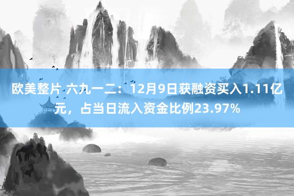 欧美整片 六九一二：12月9日获融资买入1.11亿元，占当日流入资金比例23.97%