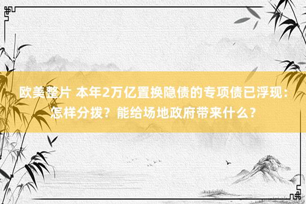 欧美整片 本年2万亿置换隐债的专项债已浮现：怎样分拨？能给场地政府带来什么？