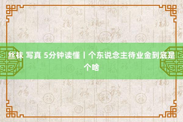 丝袜 写真 5分钟读懂丨个东说念主待业金到底是个啥