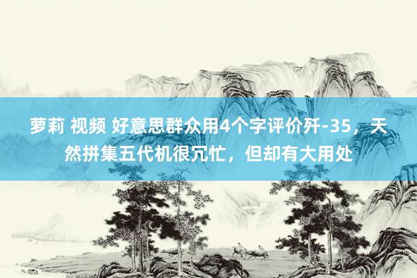 萝莉 视频 好意思群众用4个字评价歼-35，天然拼集五代机很冗忙，但却有大用处