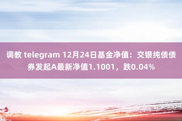 调教 telegram 12月24日基金净值：交银纯债债券发起A最新净值1.1001，跌0.04%