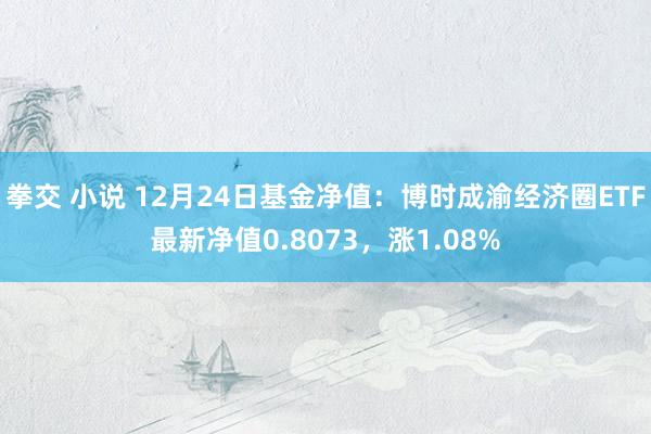 拳交 小说 12月24日基金净值：博时成渝经济圈ETF最新净值0.8073，涨1.08%