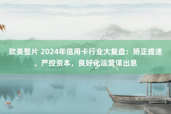 欧美整片 2024年信用卡行业大复盘：矫正提速、严控资本，良好化运营谋出息