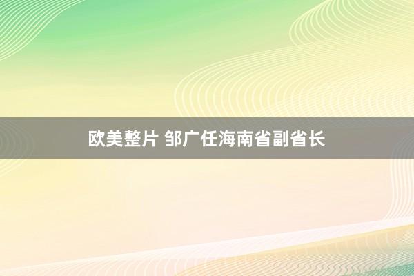 欧美整片 邹广任海南省副省长