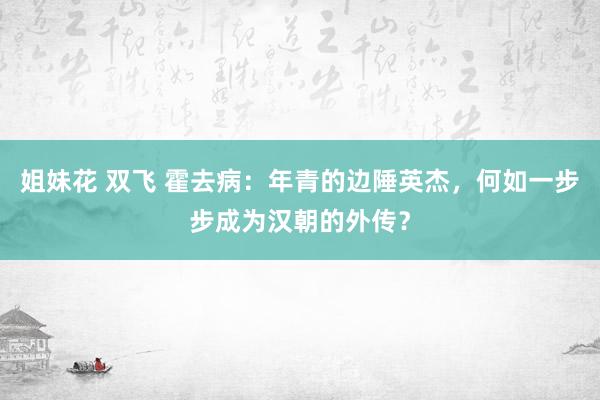 姐妹花 双飞 霍去病：年青的边陲英杰，何如一步步成为汉朝的外传？