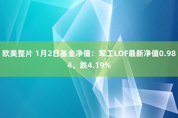 欧美整片 1月2日基金净值：军工LOF最新净值0.984，跌4.19%