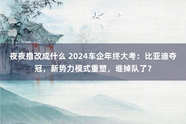 夜夜撸改成什么 2024车企年终大考：比亚迪夺冠，新势力模式重塑，谁掉队了？