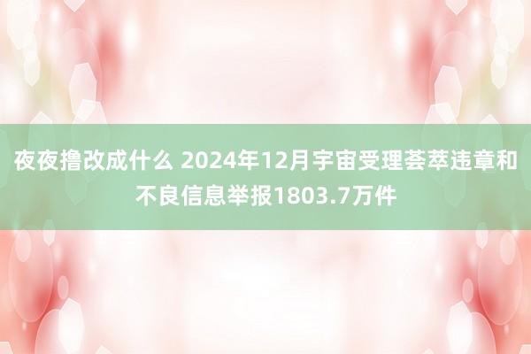 夜夜撸改成什么 2024年12月宇宙受理荟萃违章和不良信息举报1803.7万件