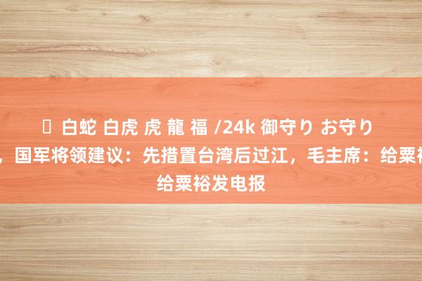 ✨白蛇 白虎 虎 龍 福 /24k 御守り お守り 1948年，国军将领建议：先措置台湾后过江，毛主席：给粟裕发电报