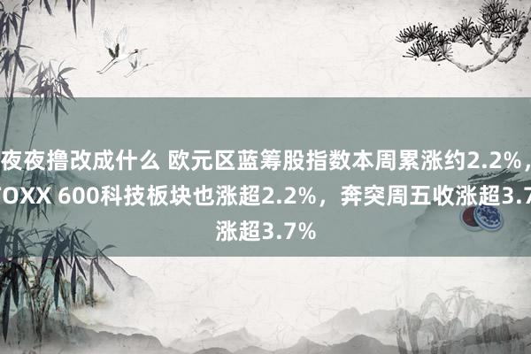 夜夜撸改成什么 欧元区蓝筹股指数本周累涨约2.2%，STOXX 600科技板块也涨超2.2%，奔突周五收涨超3.7%