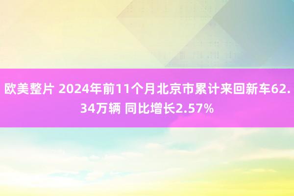 欧美整片 2024年前11个月北京市累计来回新车62.34万辆 同比增长2.57%