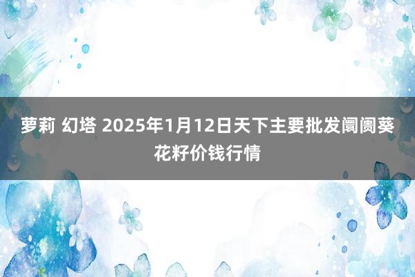 萝莉 幻塔 2025年1月12日天下主要批发阛阓葵花籽价钱行情