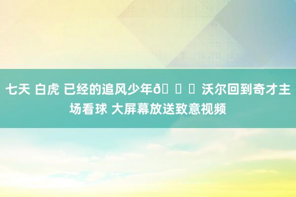 七天 白虎 已经的追风少年🌀沃尔回到奇才主场看球 大屏幕放送致意视频