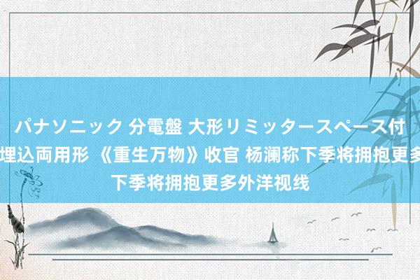 パナソニック 分電盤 大形リミッタースペース付 露出・半埋込両用形 《重生万物》收官 杨澜称下季将拥抱更多外洋视线