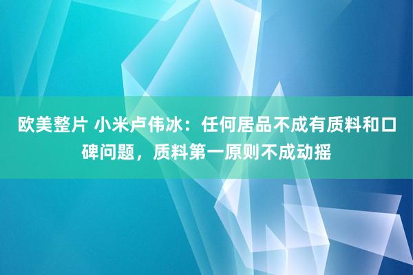 欧美整片 小米卢伟冰：任何居品不成有质料和口碑问题，质料第一原则不成动摇