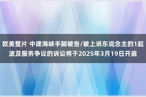 欧美整片 中建海峡手脚被告/被上诉东说念主的1起波及服务争议的诉讼将于2025年3月19日开庭