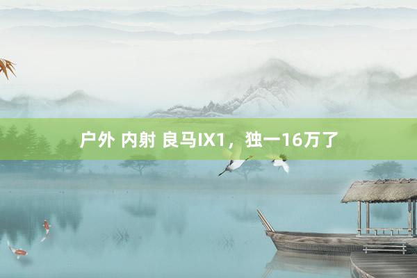 户外 内射 良马IX1，独一16万了